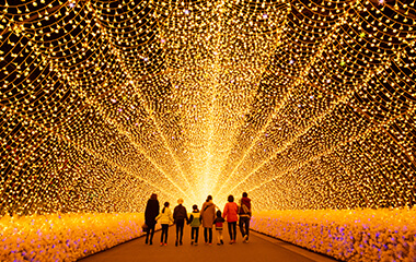 なばなの里イメージ